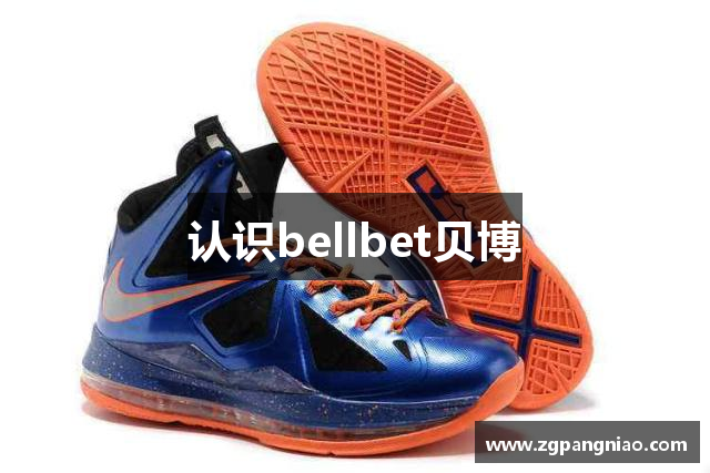 认识bellbet贝博
